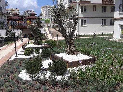 peyzaj ve sulama görsel